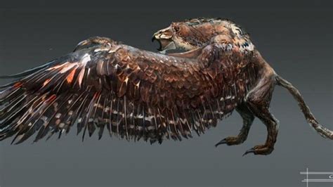 Mythical Creature Griffin Wallpapers Wallpaper Cave