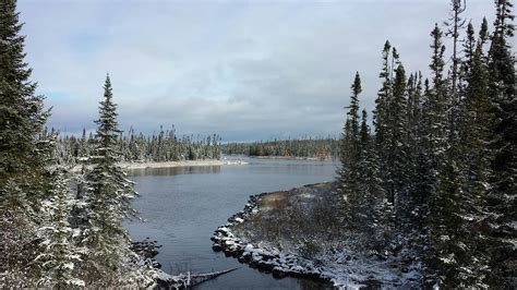 10 Astounding Facts About Boreal Forests