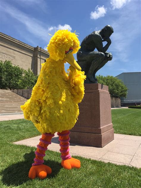 Big Bird Meme We Ride At Dawn