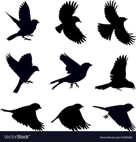 Silhouettes Of Birds Royalty Free Vector Image