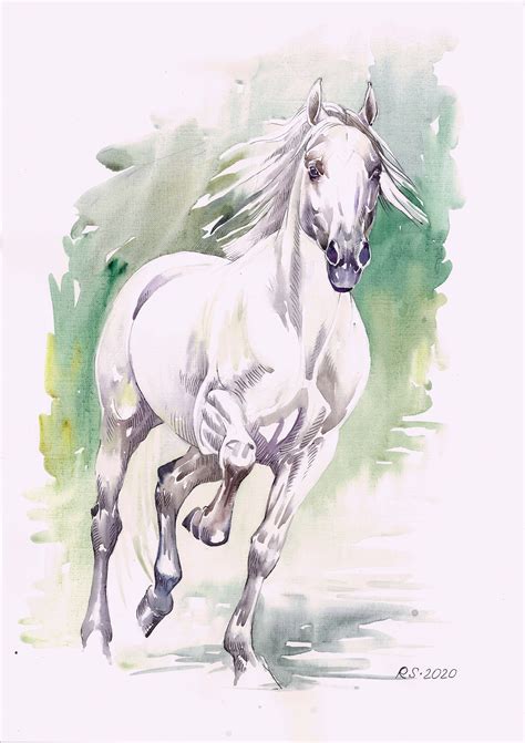 16 Wild White Horse Painting 116165 Inches Art Print From Etsy