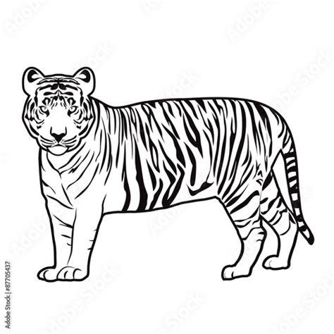 Tiger Outline Vector Buy This Stock Illustration And Explore Similar