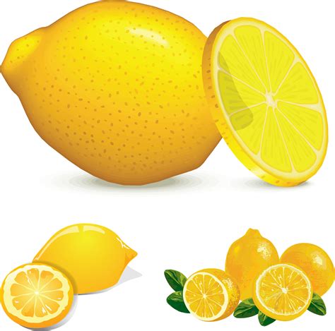 Free Lemon Clip Art Pictures Clipartix