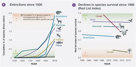 Report 1 Million Animal And Plant Species At Risk Of Extinction