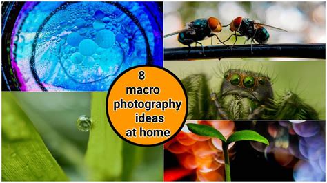 8 Mobile Macrophotography Ideas At Home Creative Macro Photography