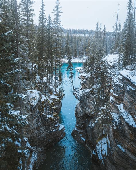 The Beginning Of Winter At Athabasca Falls In Jasper National Park
