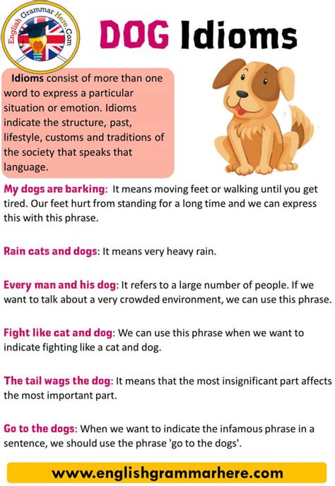 Dog Idioms Definition And Examples English Grammar Here