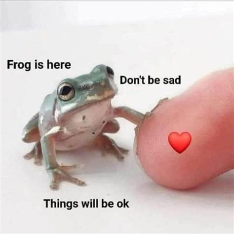 Froggi Is Bacc And Loves You More Than Before