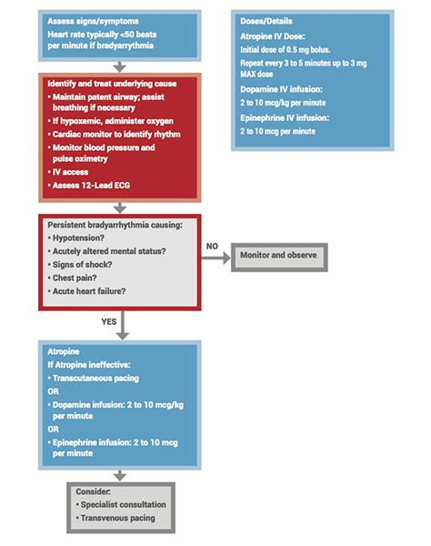 Acls Algorithms You Need To Know
