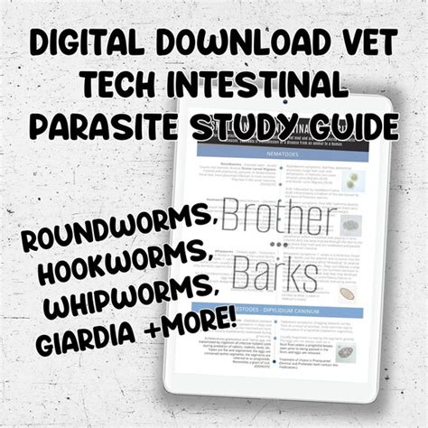 Digital Download Veterinary Intestinal Parasites Chart With Etsy
