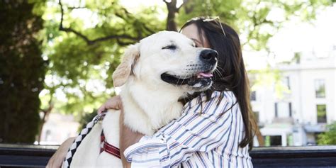 Here are facts to consider when you're wonde. 5 Common Pet Owner Habits That Make Dogs Uncomfortable
