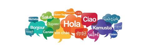 Language Translation Assistance | Santa Rosa, CA