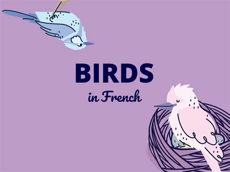 List Of Bird Names In French Frenchanted