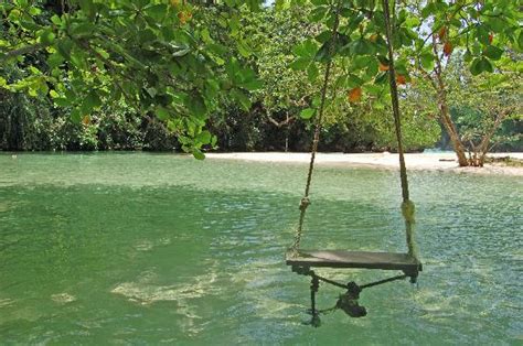 The Swing In The Cove Picture Of Frenchmans Cove Port Antonio