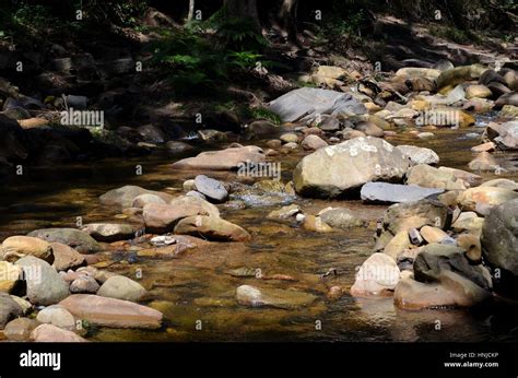 Sunlight On River Rocks Highlighting An Array Of Tones And Textures In