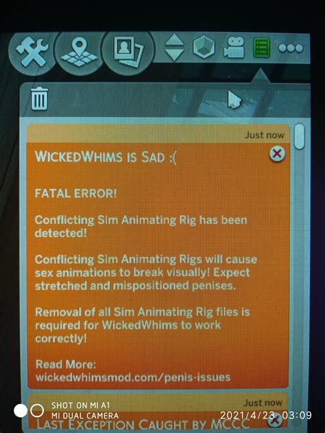 Ww Issue Technical Support Wickedwhims Loverslab