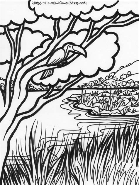 Jungle Coloring Pages (22) - Coloring Kids