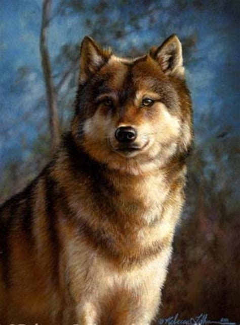 Rebecca Latham Dog Science Wolf Pictures Bush Dog