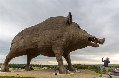 Woinic - the largest wild boar in the world - France ...