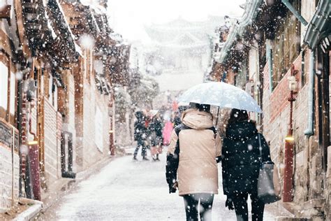Winter Festivals In Korea Snow Ice And Fun Joels Travel Tips