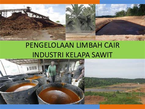 Prospek perkembangan industri kelapa sawit saat ini sangat pesat, karena terjadi peningkatan jumlah. (PDF) Pengelolaan Limbah Cair Industri Kelapa Sawit ...