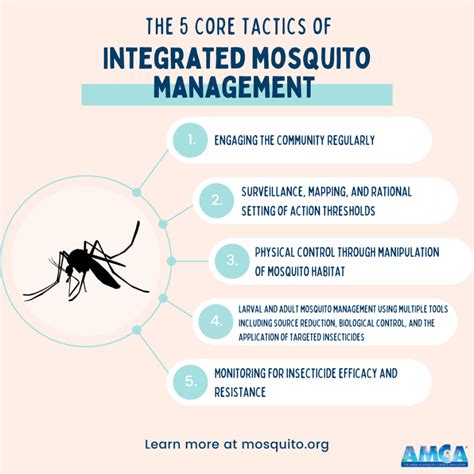 Integrated Mosquito Management Protects People And Animals From Mosquitoes