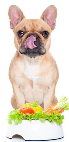 Taste of the wild appalachian valley formula. Best Dog Food for French Bulldogs: 7 Vet Recommended Brands