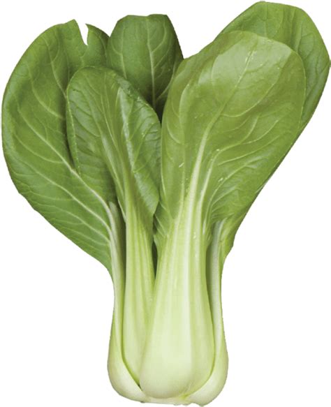 Bok Choy Cabbage Png Photo Png All Png All