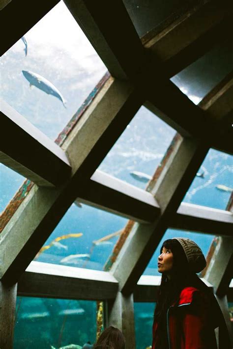11 amazing museums in seattle you can t miss local adventurer seattle vacation washington