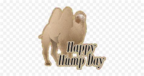 Happy Hump Day Graphic Language Emojihump Day Emoticon Free Emoji