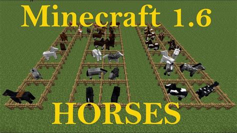 minecraft  horse colors  breeds tutorial youtube