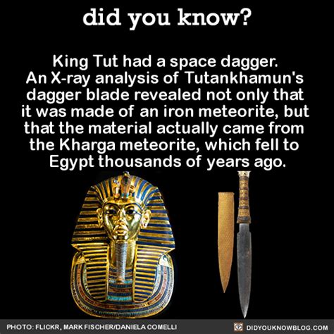 5 fact about king tut
