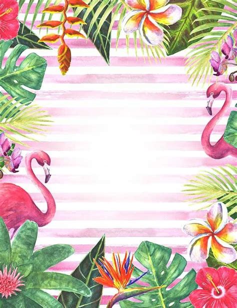 tropical jungle flamingo patterns strips photography