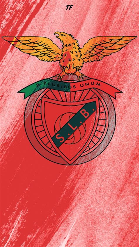Download the free graphic resources in the form of png, eps, ai or psd. Benfica Background - Benfica Wallpapers Wallpaper Cave ...