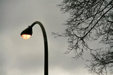 Illuminated Light Electric Lamp On Street In Twilight Time Lamp Light