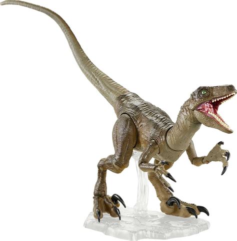 Buy Jurassic World Toys Amber Collection Velociraptor Dinosaur Figure Collectible Toy 6 In Scale