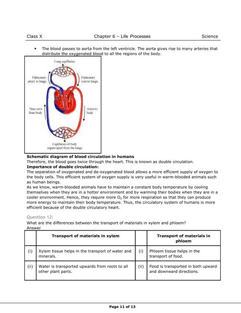 Class Th Science Life Processes Ncert Solution Cbse