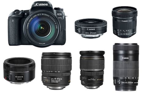 Best Lenses For Canon Eos 77d In 2022 Canon Camera Rumors