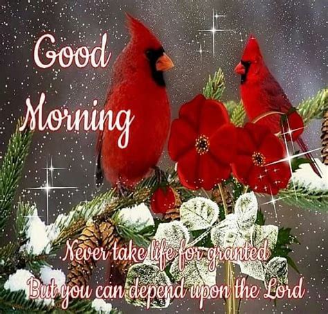 Cardinals Good Morning Good Morning Greetings Love Good Morning Quotes