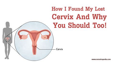 Menstrupedia Blog How I Found My Lost Cervix And Why You Should Too Menstrupedia Blog