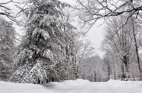 New England Snow Scene 1 Photograph By Staci Bigelow Fine Art America