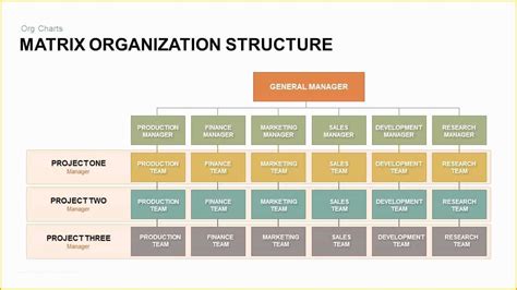 Free Keynote Organization Chart Template Of Matrix Organization