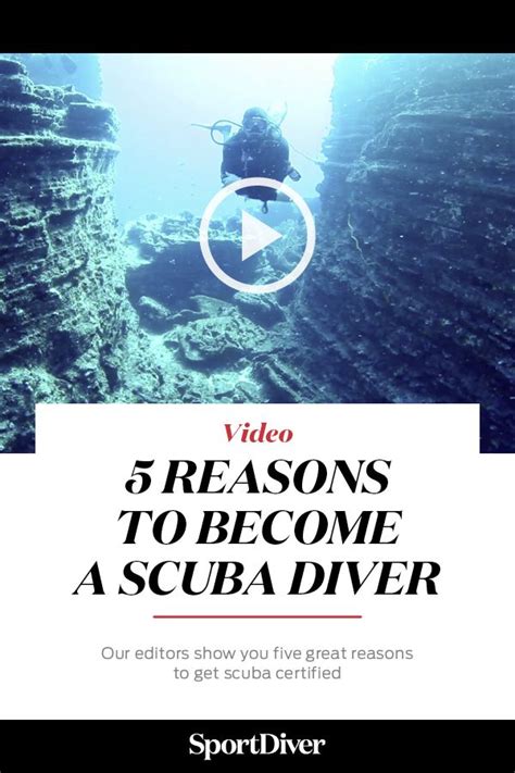 5 Reasons To Become A Scuba Diver Artofit