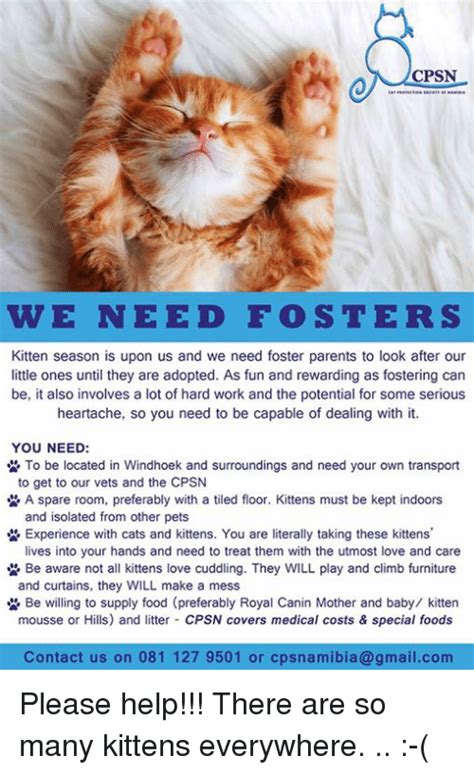 Cpsn We Need Foster S Kitten Season Is Upon Us And We Need Foster