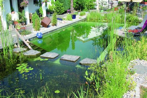 Natural Swimming Pools Organic Habitat Garden Culture Magazine