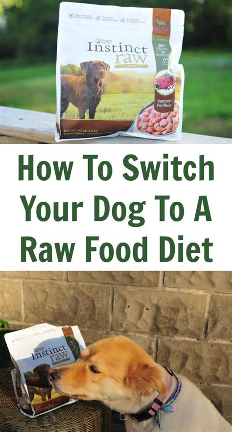 Others may range up to $5 a day. How To Switch Your Dog To A Raw Food Diet