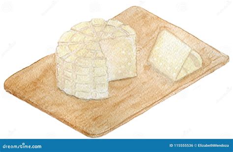 Delicious Mexican Panela Cheese Stock Illustration Illustration Of