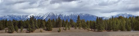 Download Free Photo Of Rocky Mountain Trenchponderosa Pinepanorama