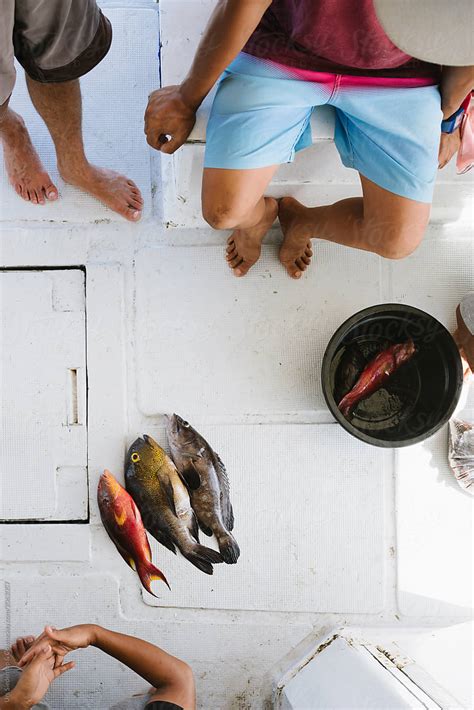 Catch Fresh Fish By Stocksy Contributor Urs Siedentop And Co Stocksy