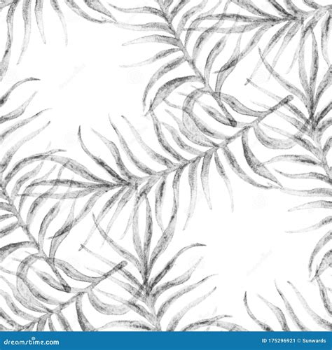 Cool Palm Tree Branches Tropical Seamless Stock Image Image Of